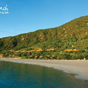 https://wild-beach-resort-spa.nhatrangbesthotels.com